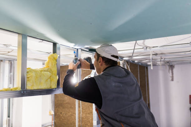 Best Insulation Maintenance and Repair in Mission, KS