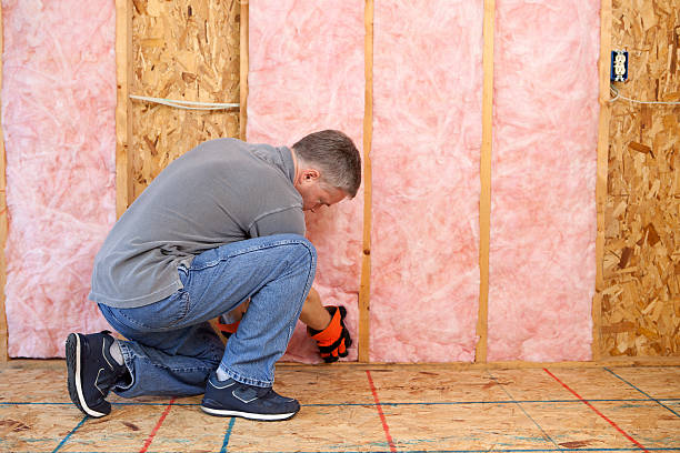 Best Commercial Insulation in Mission, KS